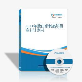 2014年版白银制品项目商业计划书